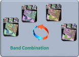 Band Combination 